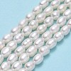 Natural Cultured Freshwater Pearl Beads Strands PEAR-J006-12A-2