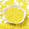 Baking Paint Glass Seed Beads SEED-B001-02A-03-2