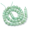 Natural Myanmar Jade/Burmese Jade Beads Strands G-T064-22-6mm-2