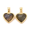 Natural Labradorite Charms G-E538-02G-02-2