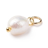 Grade B Natural Cultured Freshwater Pearl Charms X-PALLOY-JF01497-01-3