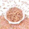 Picasso Transparent Glass Seed Beads SEED-N012-11B-2