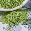 MIYUKI Delica Beads SEED-X0054-DB0733-1