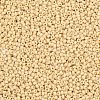 MIYUKI Round Rocailles Beads SEED-X0054-RR0493-2