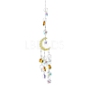 Glass Pendant Decorations DJEW-PW0012-003A-1