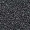 6/0 Glass Seed Beads X1-SEED-L011-08A-10-3
