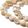 Natural Trochid Shell/Trochus Shell Beads Strands SHEL-F003-08B-4