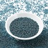MIYUKI Round Rocailles Beads X-SEED-G007-RR0305-2