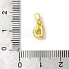Rack Plating Brass Charms KK-C053-04G-D-3