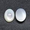 Shell Cabochons SSHEL-P015-59C-2