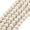 Natural Fossil Beads Strands G-H026-02A-1