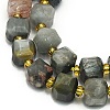 Natura Eagle Eye Stone Beads Strands G-I376-D49-01-3