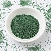 MIYUKI Delica Beads X-SEED-J020-DB0605-2