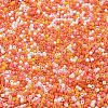 Baking Paint Glass Seed Beads SEED-S042-05B-45-3