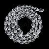 Transparent Glass Beads Strands EGLA-N013-T10mm-D01-2
