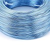 Anodized Aluminum Wire AW-S001-0.6mm-19-2