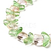 Transparent Glass Beads Strands LAMP-H061-02A-4