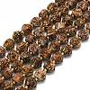 Natural Starburst Jasper Beads Strands G-I376-A60-01-1