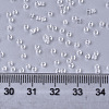 Glass Seed Beads X-SEED-S042-11B-08-4