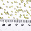 Glass Seed Beads SEED-S042-04A-02-4