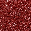 MIYUKI Delica Beads SEED-MY11-DB2159-2