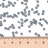 MIYUKI Round Rocailles Beads SEED-X0055-RR2426-4