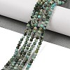 Natural African Turquoise(Jasper) Beads Strands X-G-P472-01-2