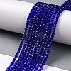 Transparent Glass Beads Strands GLAA-H021-03-09-3