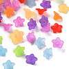 Transparent Acrylic Beads PL554-M-1