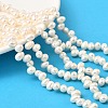 Natural Cultured Freshwater Pearl Beads Strands PEAR-I007-04C-03A-1