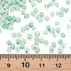 8/0 Opaque Glass Seed Beads SEED-T006-01B-D02-5