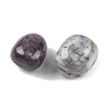 Natural Lepidolite Beads G-G348-01B-42-2