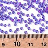 12/0 Grade A Round Glass Seed Beads X-SEED-N001-D-13/207-3