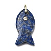 Natural Lapis Lazuli Pendants KK-D021-05G-G-1