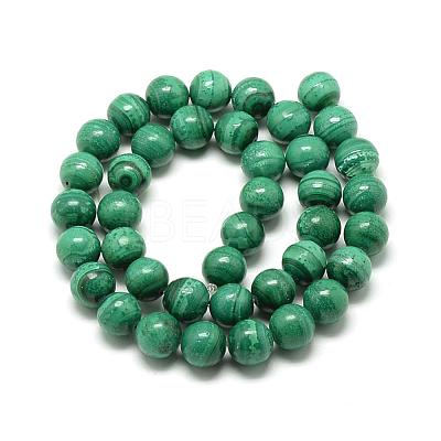 Natural Malachite Beads Strands G-R432-11-10mm-1
