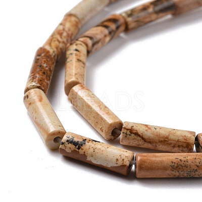 Natural Picture Jasper Beads Strands G-D464-13-1