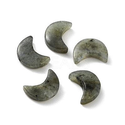 Natural Labradorite Beads X-G-NH0001-01D-1