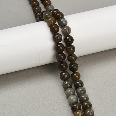 Natural Labradorite Beads Strands LS-G-I253-01-8mm-1