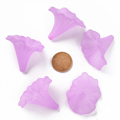 Transparent Acrylic Beads X-BSF796-C08-1