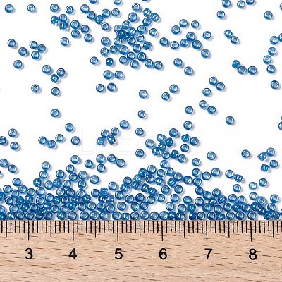TOHO 11/0 Round Beads X-SEED-TR11-0309-1