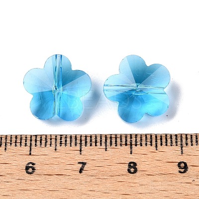 Transparent Glass Beads X-GLAA-Q066-14mm-C09-1