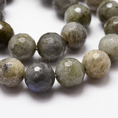 Natural Labradorite Beads Strands G-G736-04-12mm-1
