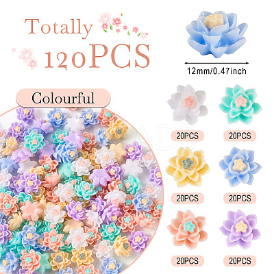 120Pcs 6 Colors Opaque Resin Cabochons CRES-TA0001-28-1