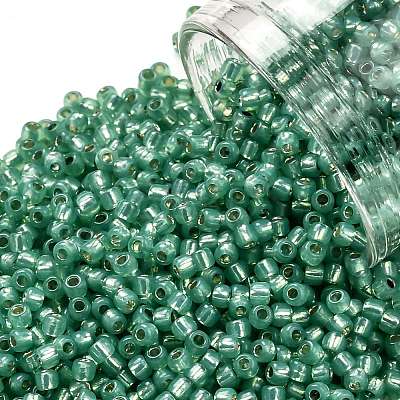 TOHO 11/0 Round Beads X-SEED-TR11-2119-1