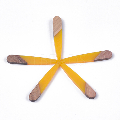 Resin & Walnut Wood Pendants X-RESI-S358-40C-1