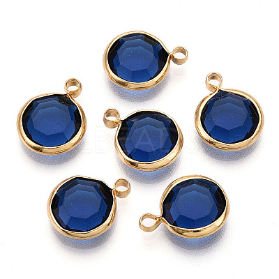 K9 Glass Charms GLAA-T023-37A-07-1