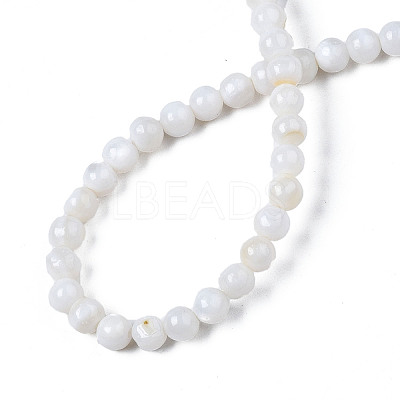 Natural Freshwater Shell Beads Strands X-BSHE-T009B-01A-1