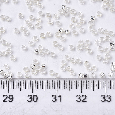 Glass Seed Beads SEED-S042-04A-06-1