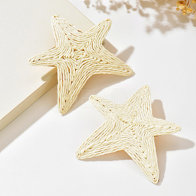 Iron and Raffia Stud Earrings for Women WGF3A03-01-1