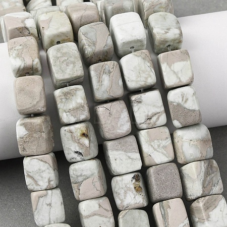 Natural Variscite Beads Strands G-D098-D09-1